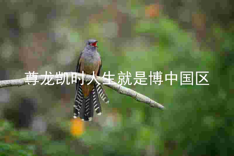 尊龙凯时人生就是博中国区