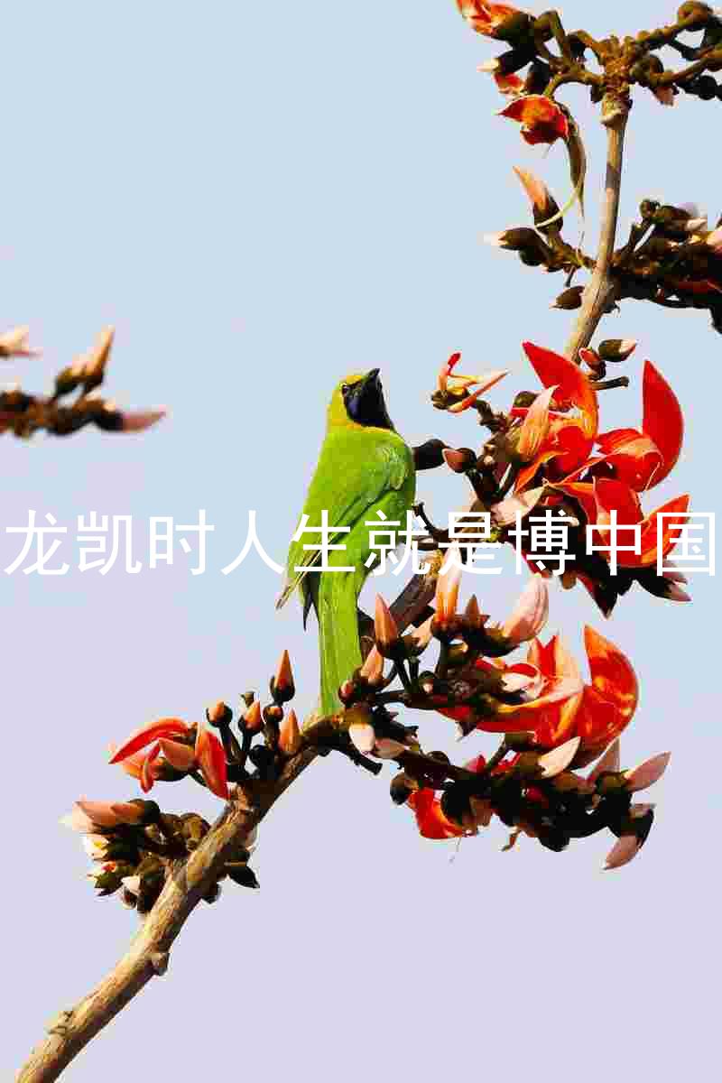 尊龙凯时人生就是博中国区