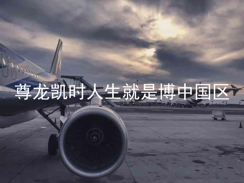 尊龙凯时人生就是博中国区