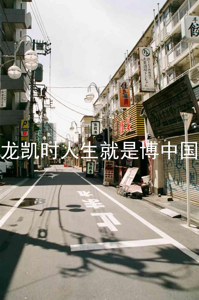 尊龙凯时人生就是博中国区