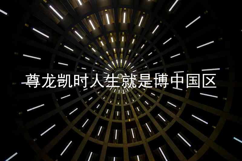 尊龙凯时人生就是博中国区