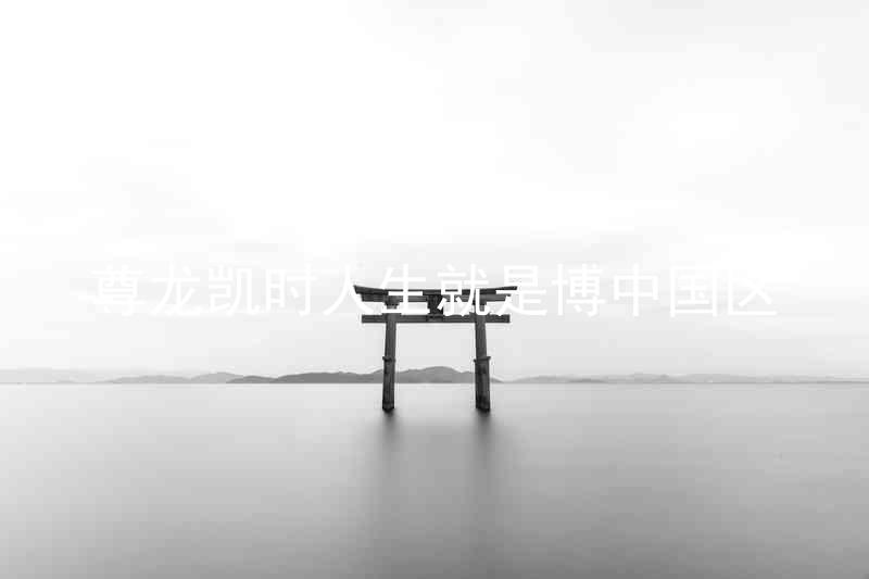 尊龙凯时人生就是博中国区